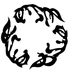 La Haykal